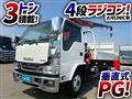 2019 Isuzu Elf Truck