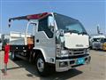 2019 Isuzu Elf Truck