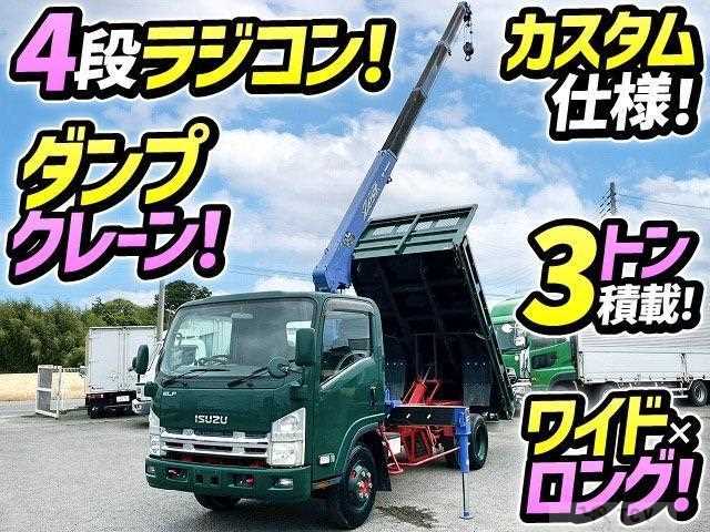2009 Isuzu Elf Truck