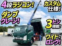 2009 Isuzu Elf Truck