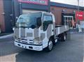 2008 Isuzu Elf Truck