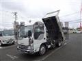 2019 Isuzu Elf Truck