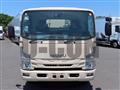 2019 Isuzu Elf Truck
