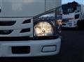 2019 Isuzu Elf Truck