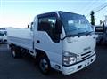 2019 Isuzu Elf Truck