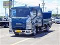 2021 Isuzu Elf Truck