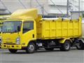 2017 Isuzu Elf Truck