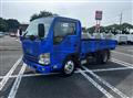 2019 Isuzu Elf Truck