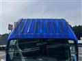 2019 Isuzu Elf Truck
