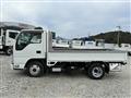 2020 Isuzu Elf Truck