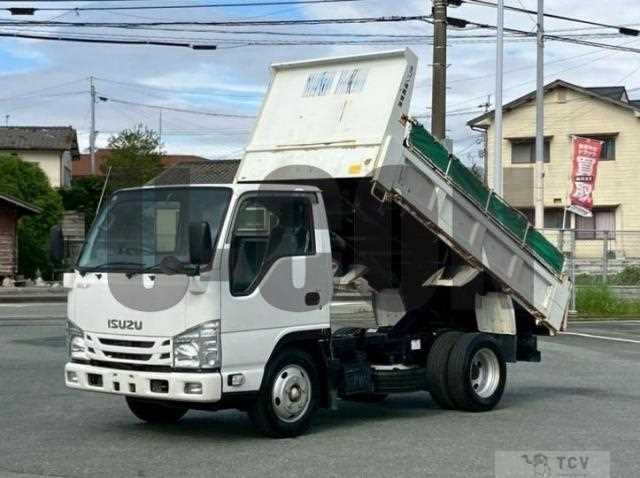 2019 Isuzu Elf Truck