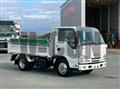 2019 Isuzu Elf Truck