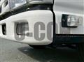 2019 Isuzu Elf Truck