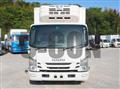2019 Isuzu Elf Truck
