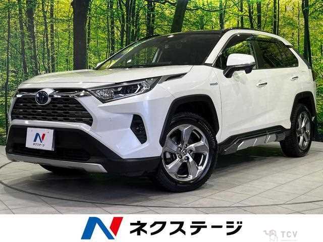 2019 Toyota RAV4