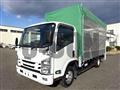 2021 Isuzu Elf Truck