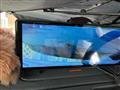 2009 Volvo C70