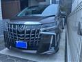 2021 Toyota Alphard G