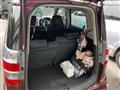 2009 Honda ZEST SPARK