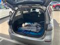 2013 Toyota Wish