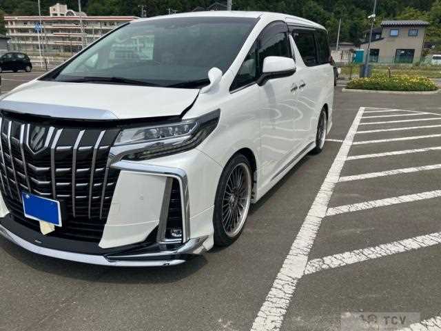 2019 Toyota Alphard G