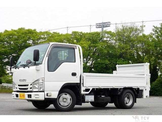 2017 Isuzu Elf Truck