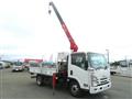 2018 Isuzu Elf Truck