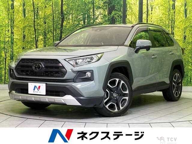 2019 Toyota RAV4