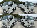 2009 Isuzu Elf Truck