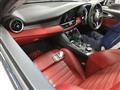 2019 Alfa Romeo Alfa Romeo Others