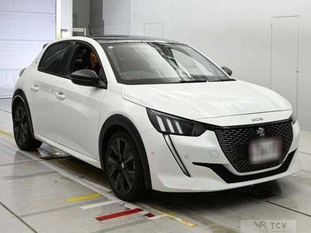 2021 Peugeot Peugoet Others