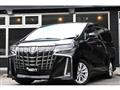 2019 Toyota Alphard G