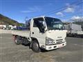 2017 Isuzu Elf Truck