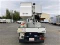 2017 Isuzu Elf Truck