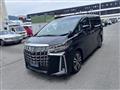 2019 Toyota Alphard G