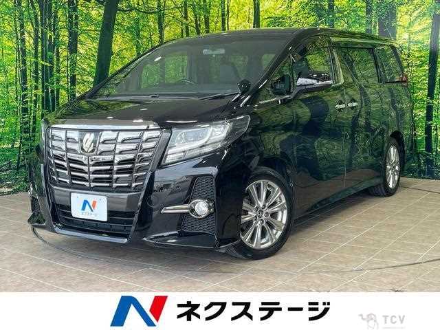2017 Toyota Alphard G