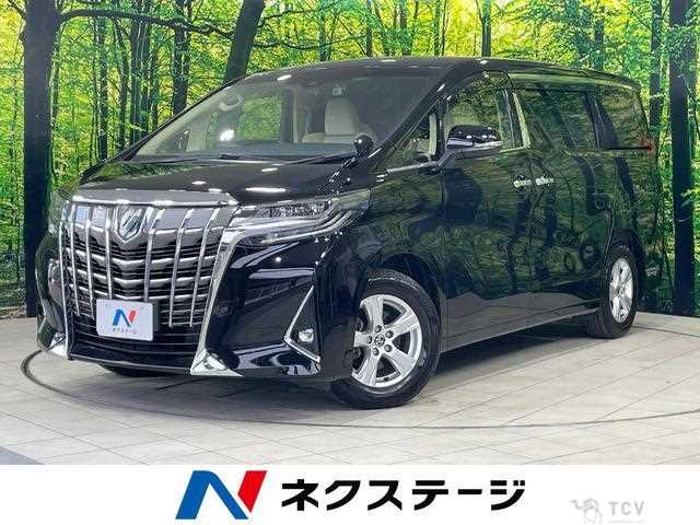 2019 Toyota Alphard G