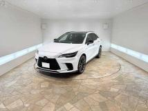 2025 Lexus RX