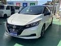 2021 Nissan Leaf