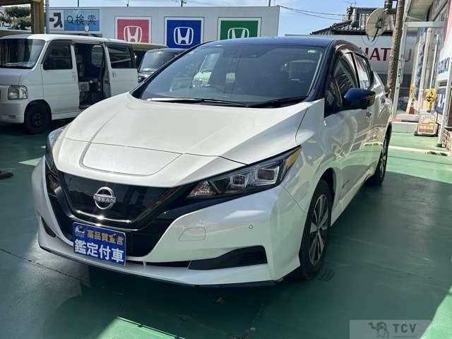 2021 Nissan Leaf