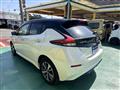 2021 Nissan Leaf