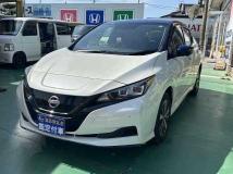 2021 Nissan Leaf