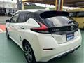 2020 Nissan Leaf