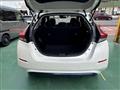 2020 Nissan Leaf