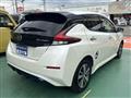 2020 Nissan Leaf