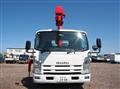 2009 Isuzu Elf Truck