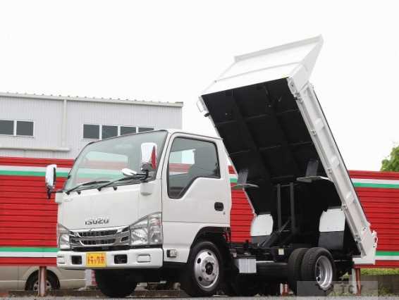 2019 Isuzu Elf Truck