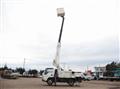 2017 Isuzu Elf Truck