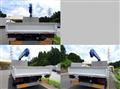 2008 Isuzu Elf Truck