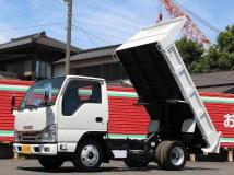 2019 Isuzu Elf Truck